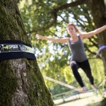 Tree protection size L