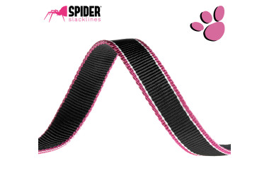 PANTHER